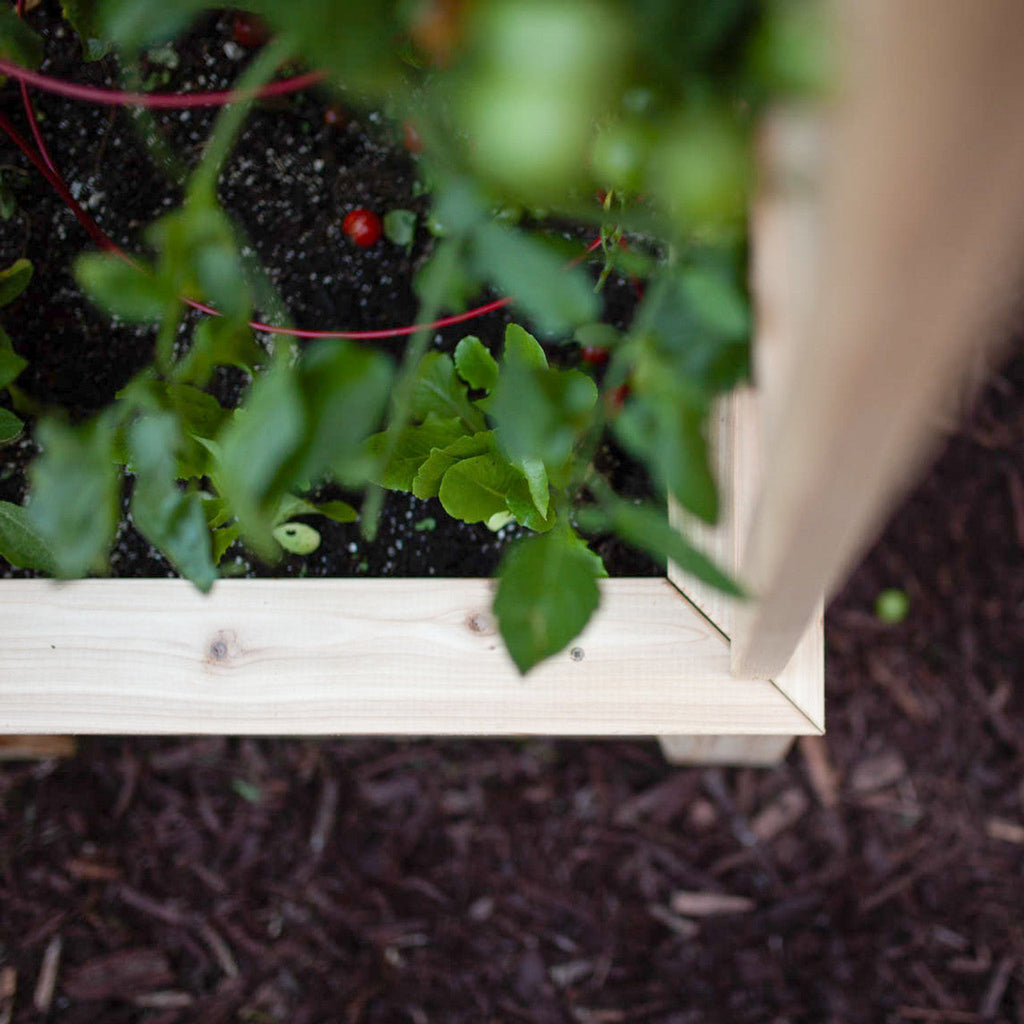 Natural Cedar Raised Beds with L-Shape Trellis