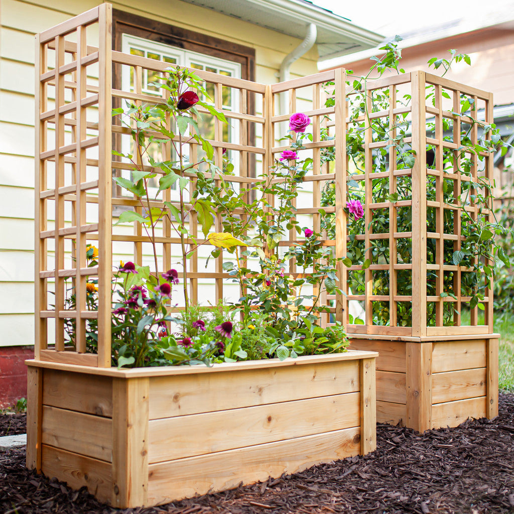 Natural Cedar Raised Beds with U-Shape Trellis