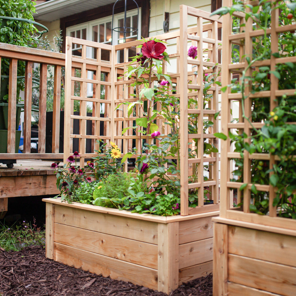 Natural Cedar Raised Beds with U-Shape Trellis