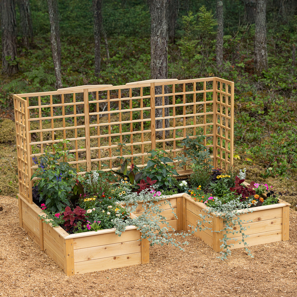 Natural Cedar 7.5' U-Shaped Raised Bed with Trellis