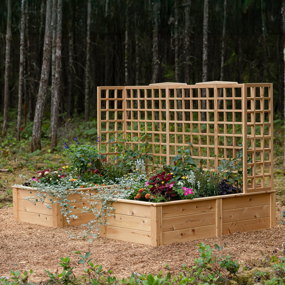 Natural Cedar 7.5' U-Shaped Raised Bed with Trellis