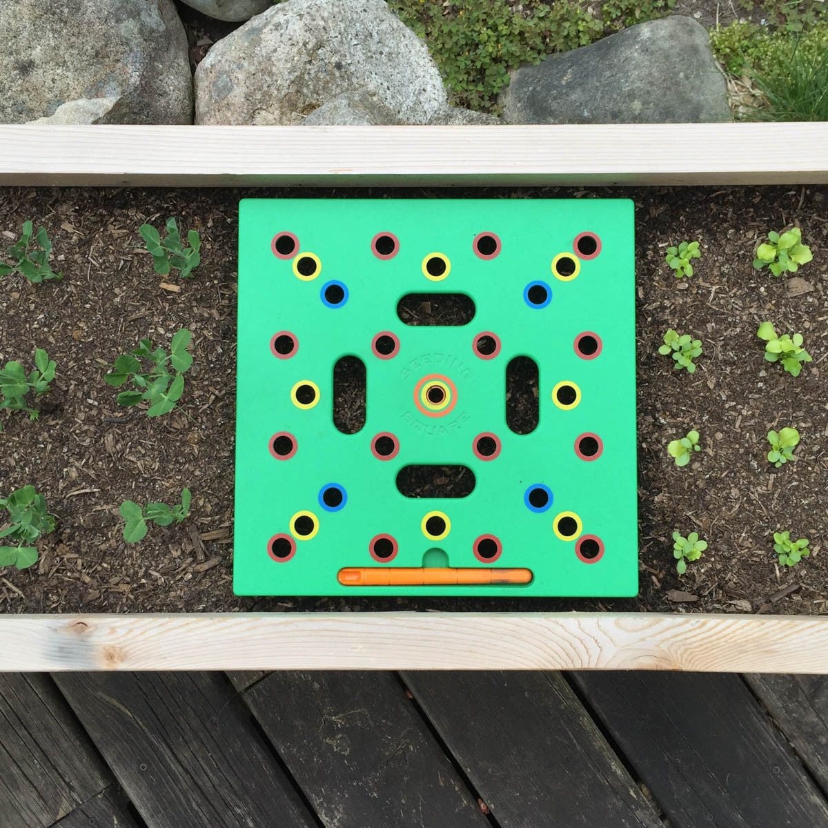 Seeding Square
