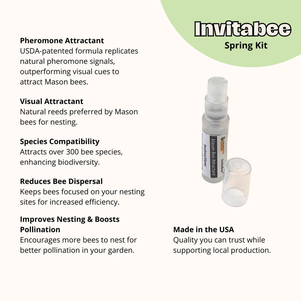 Cedar Cabana Complete Kit Bee House & Bee Certificate