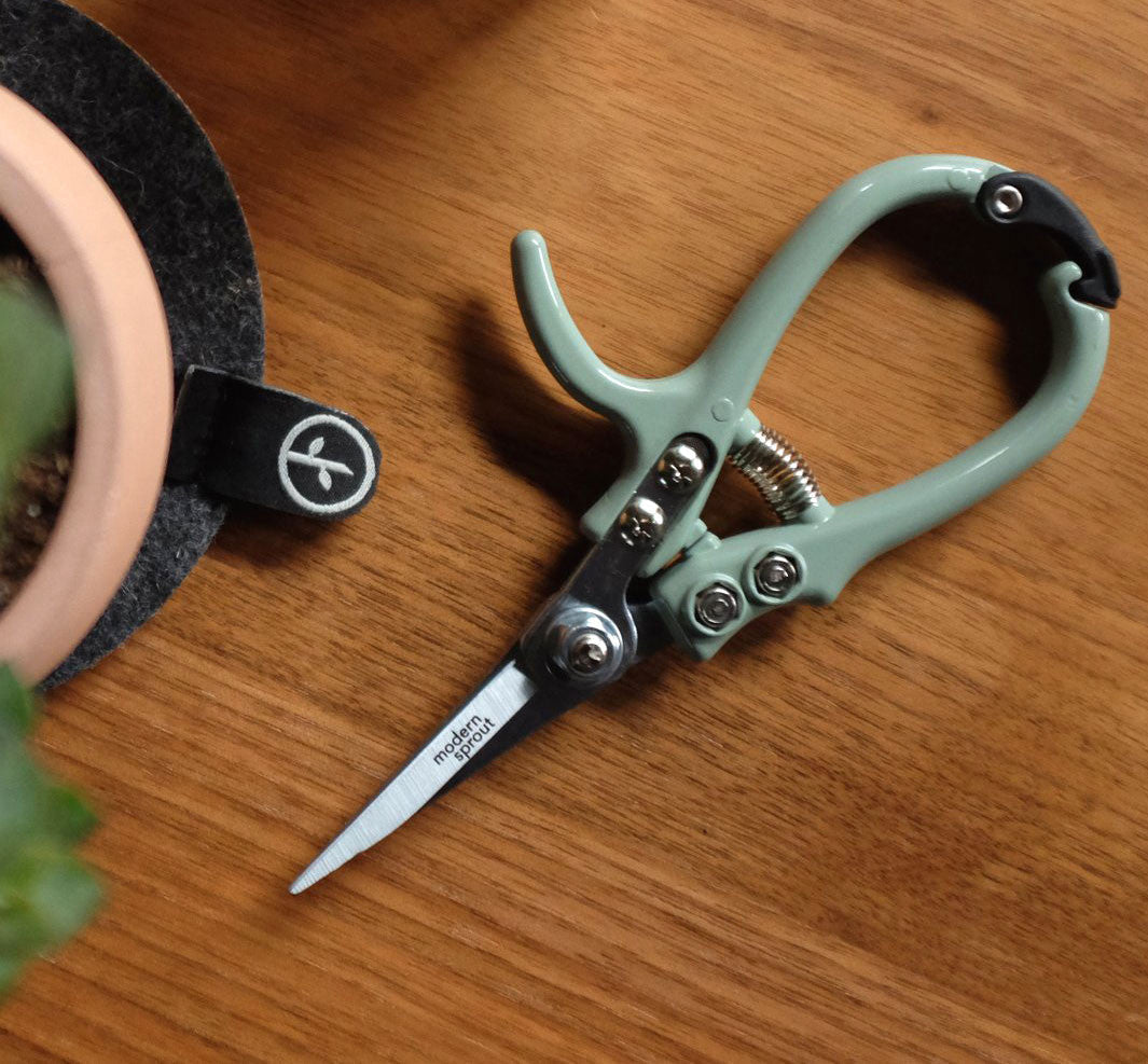 Pruning Shears