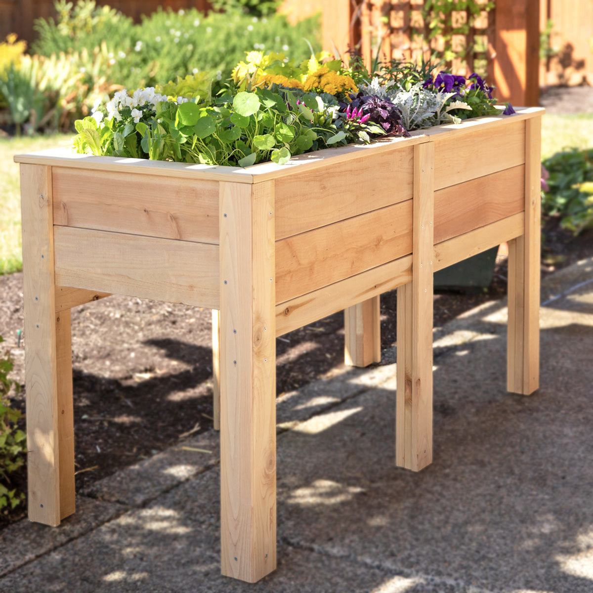 Natural Cedar Elevated Garden Planter
