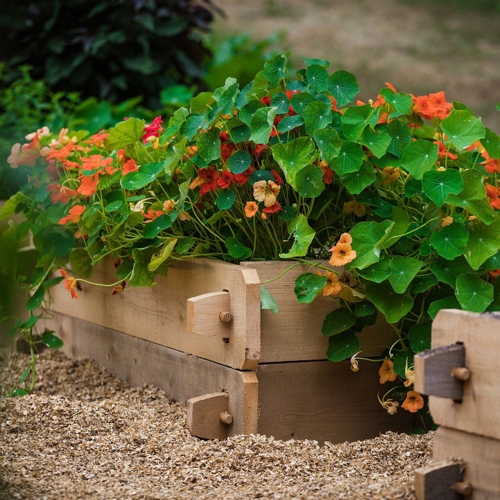 Two beds stacked