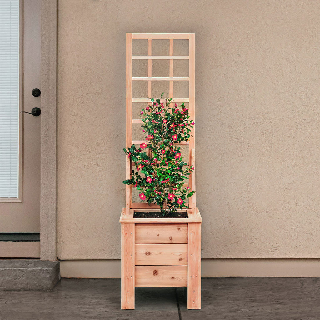 Natural Cedar Planter Box with Trellis