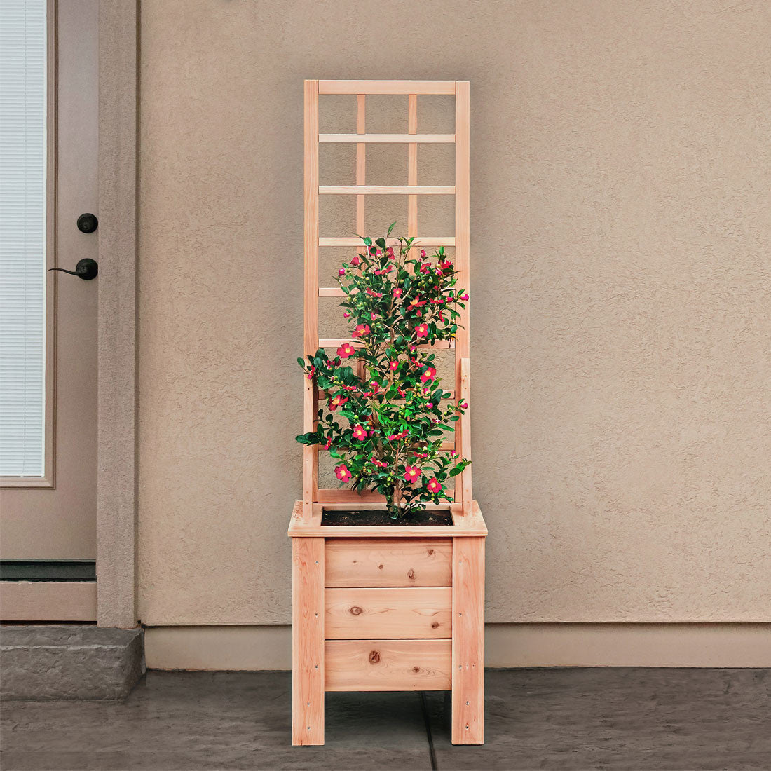Natural Cedar Planter Box with Trellis