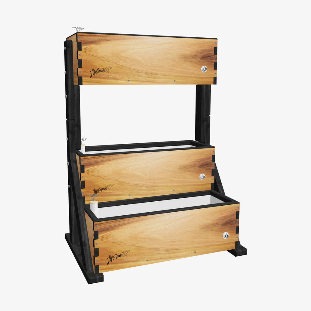Modern Clear (black trim)