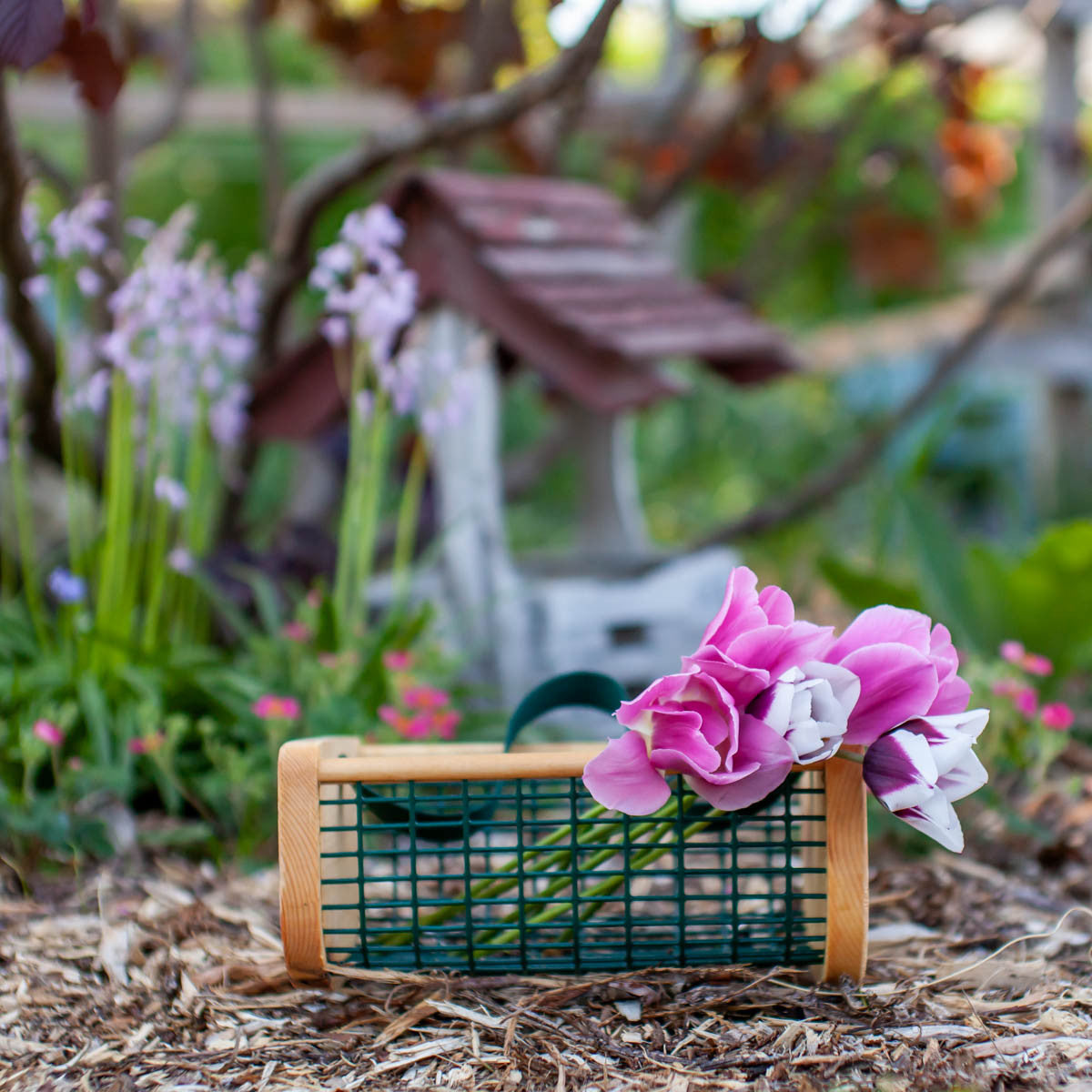 Baby Garden Hod