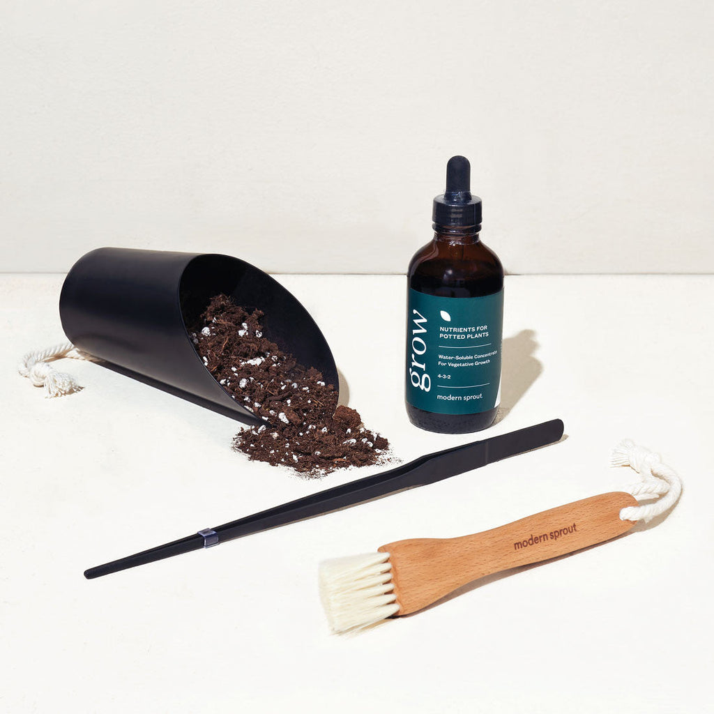 Plant Parent Botanical Gift Set