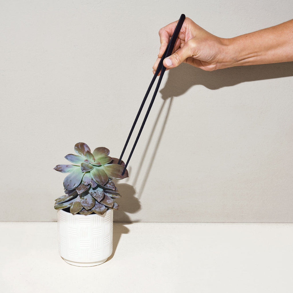 Plant Parent Botanical Gift Set