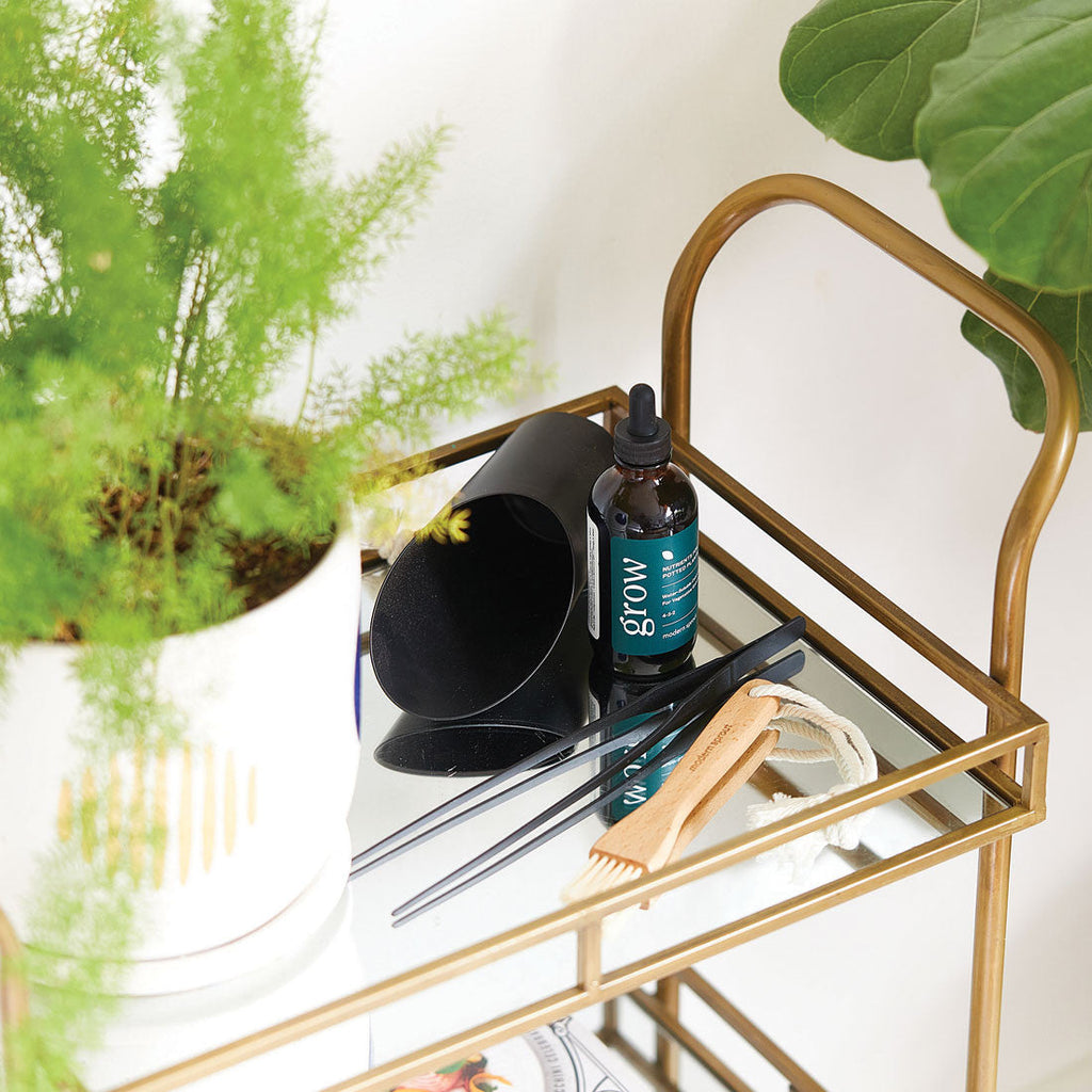 Plant Parent Botanical Gift Set