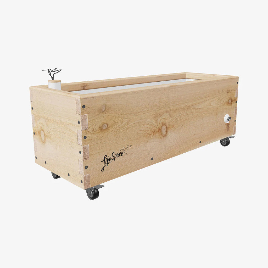 Raw Cedar