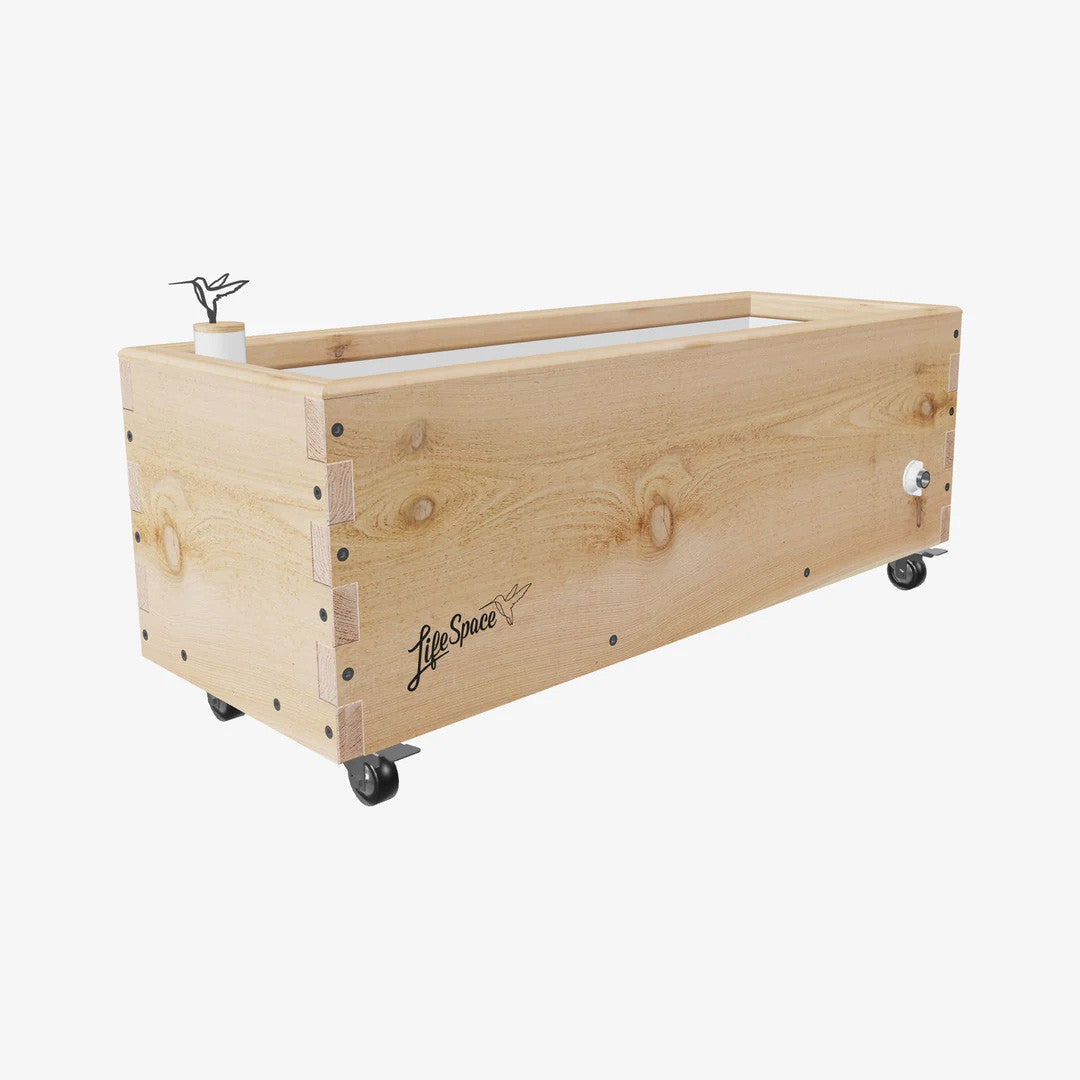 Raw Cedar