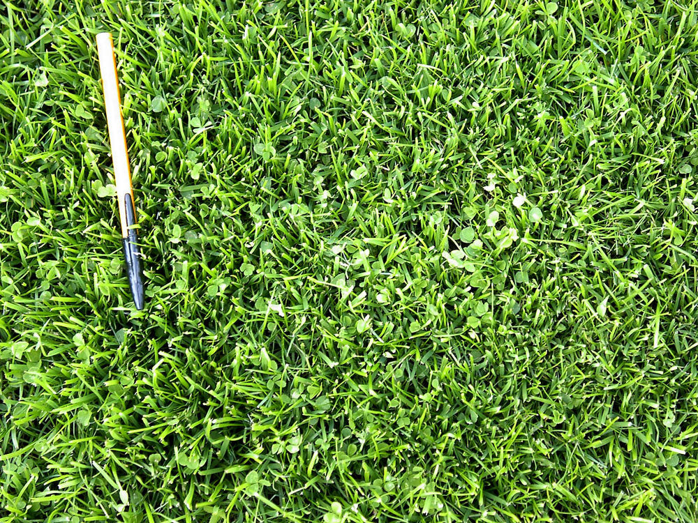 MicroLawn Grass Seed & Microclover Blend - 5 lbs