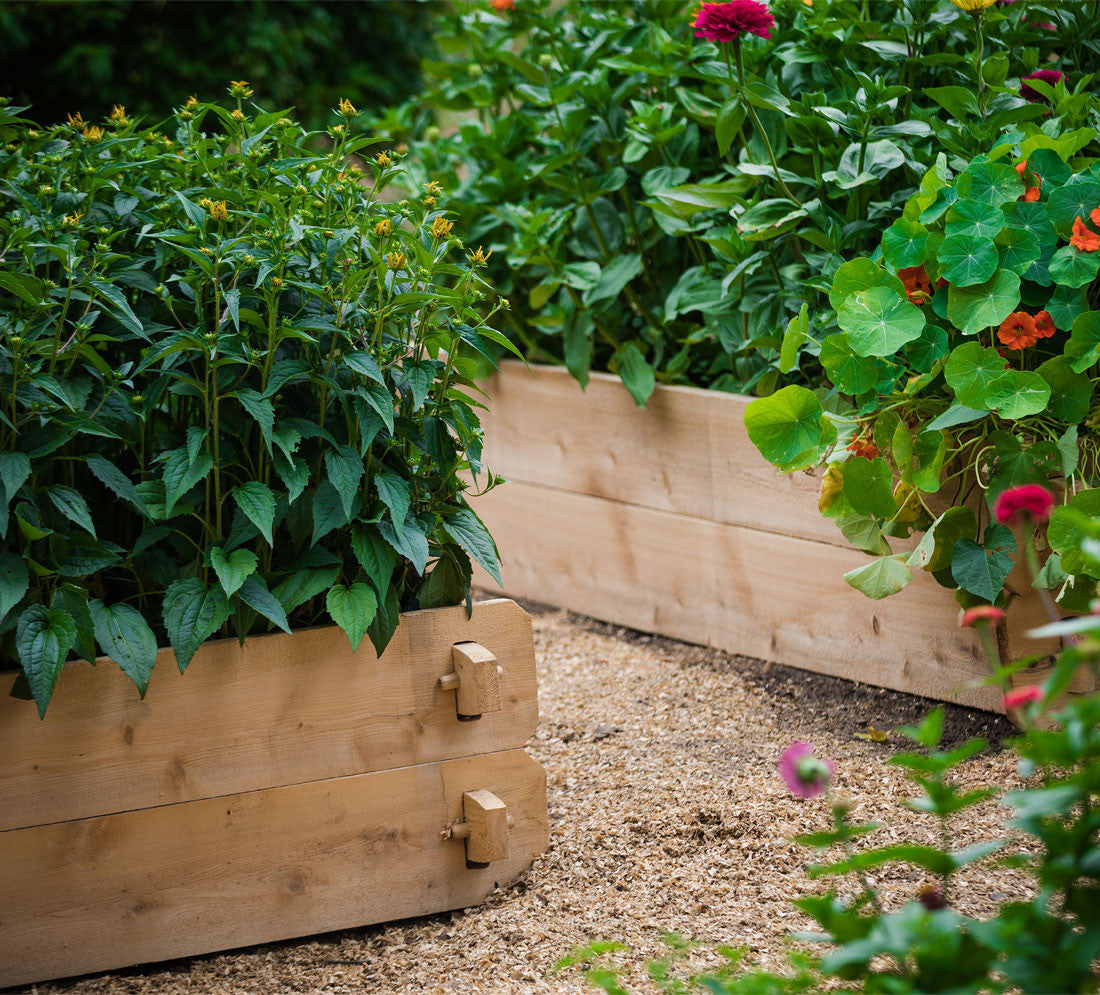 Two beds stacked