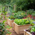 Natural Cedar Raised Garden Beds