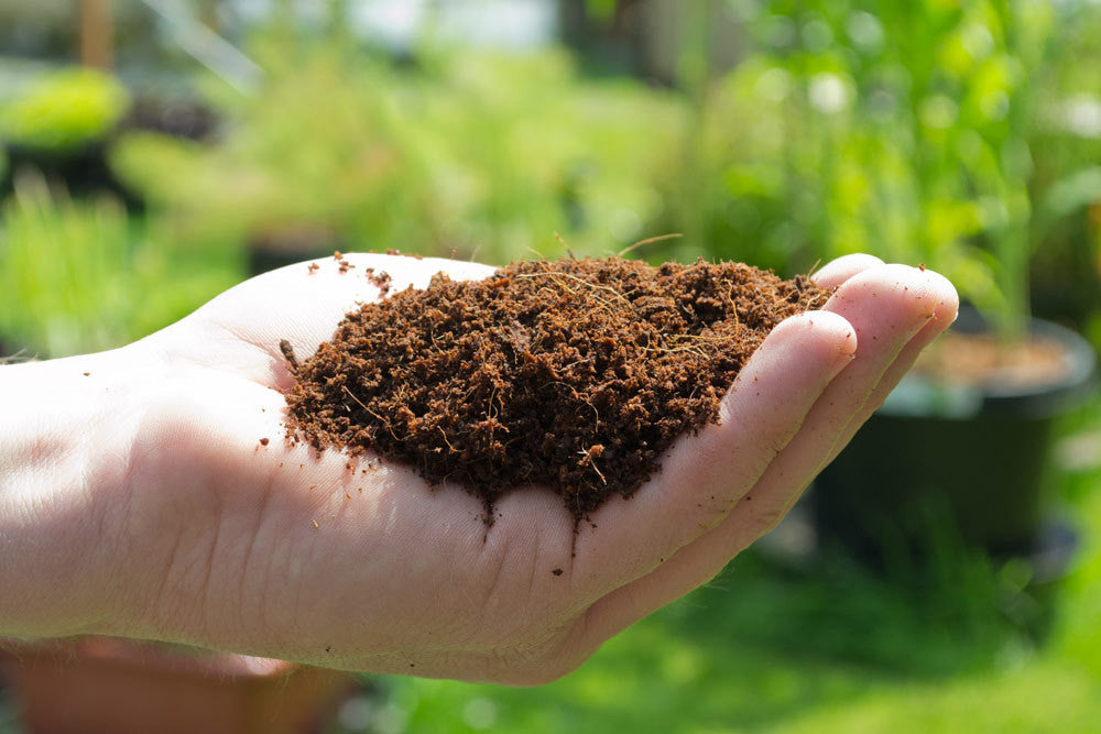 Coconut Coir