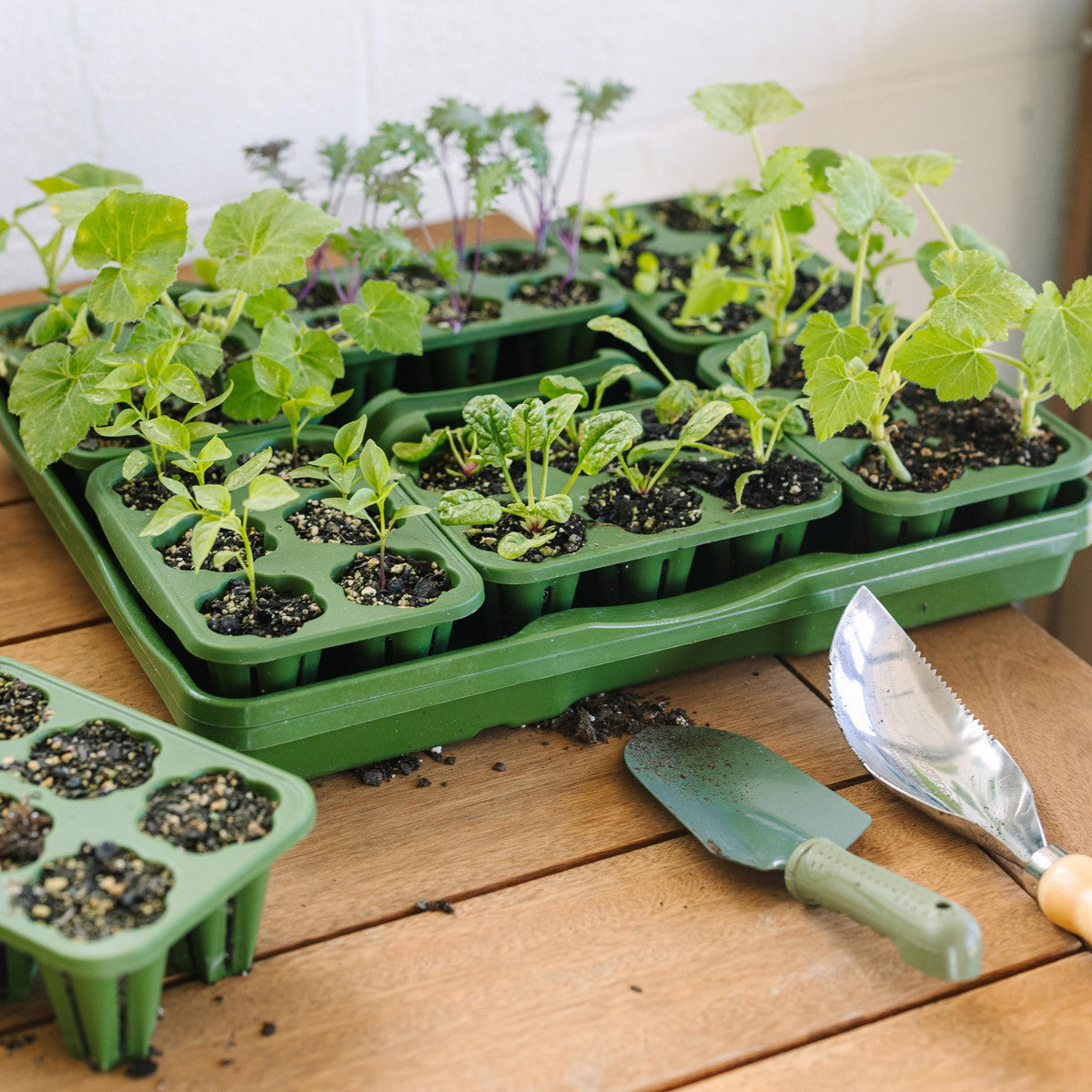 Ultimate Seed Starting Kit