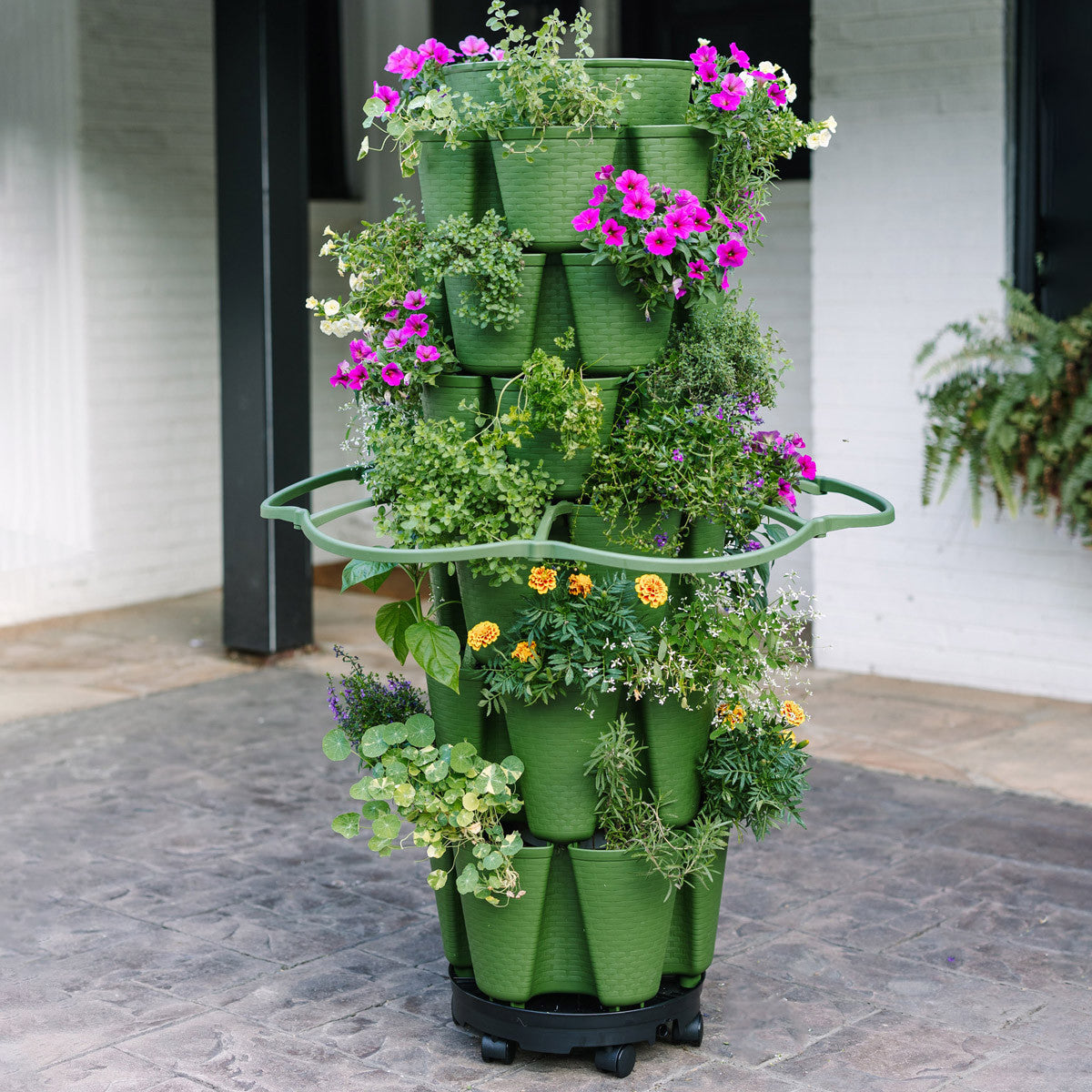 5-Tier Evergreen