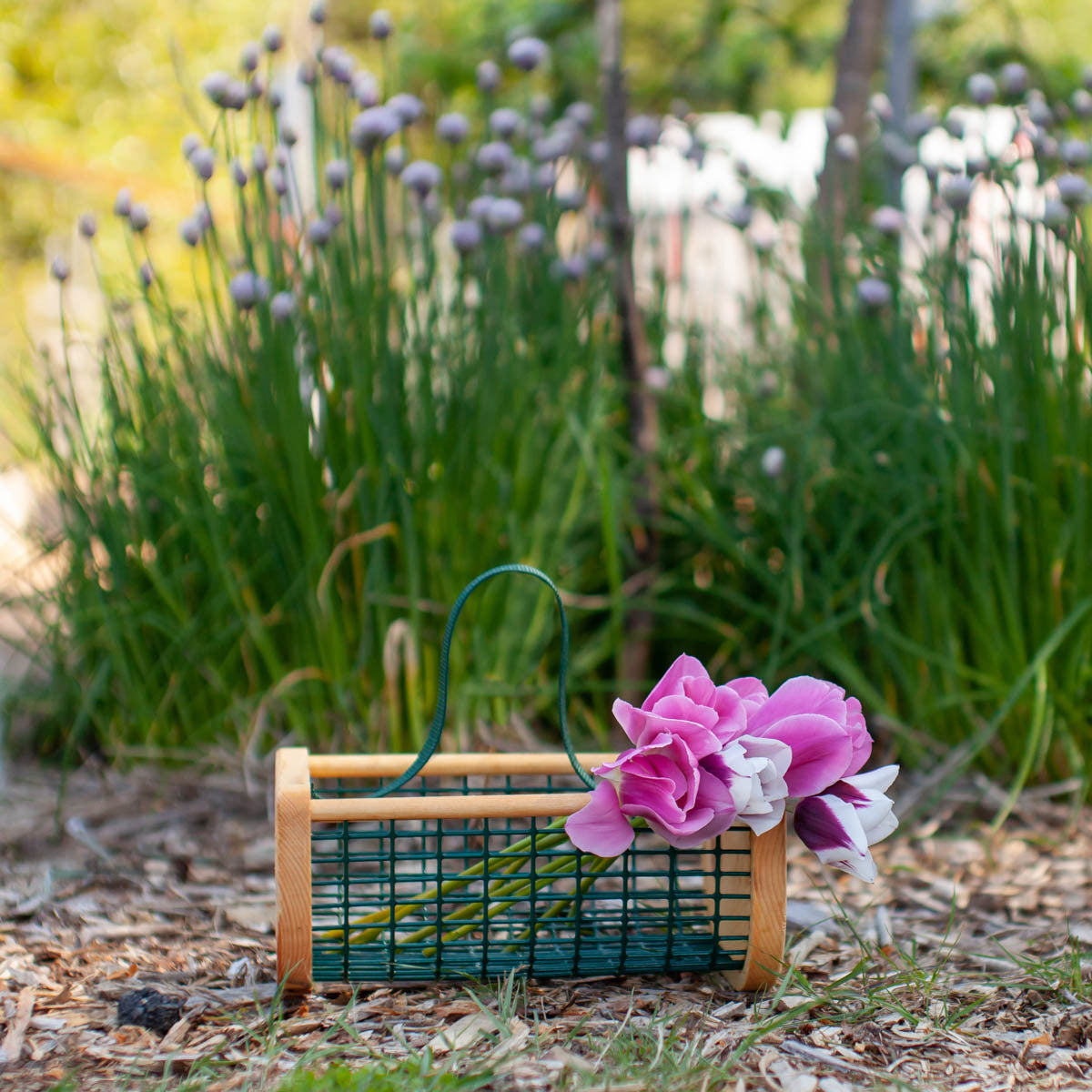 Baby Garden Hod