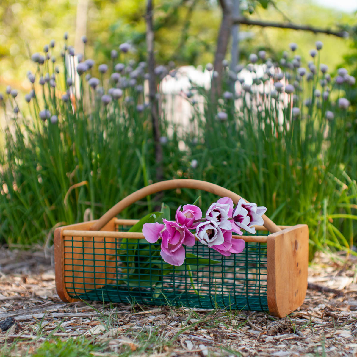 Maine Garden Hod