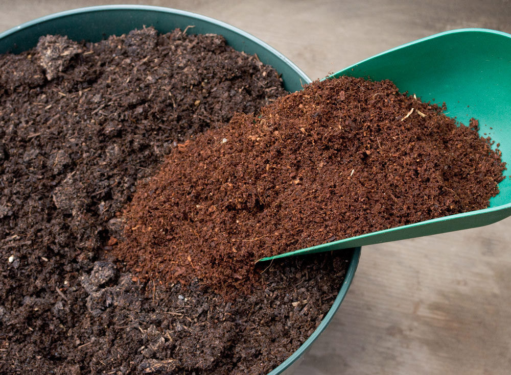 Coconut Coir