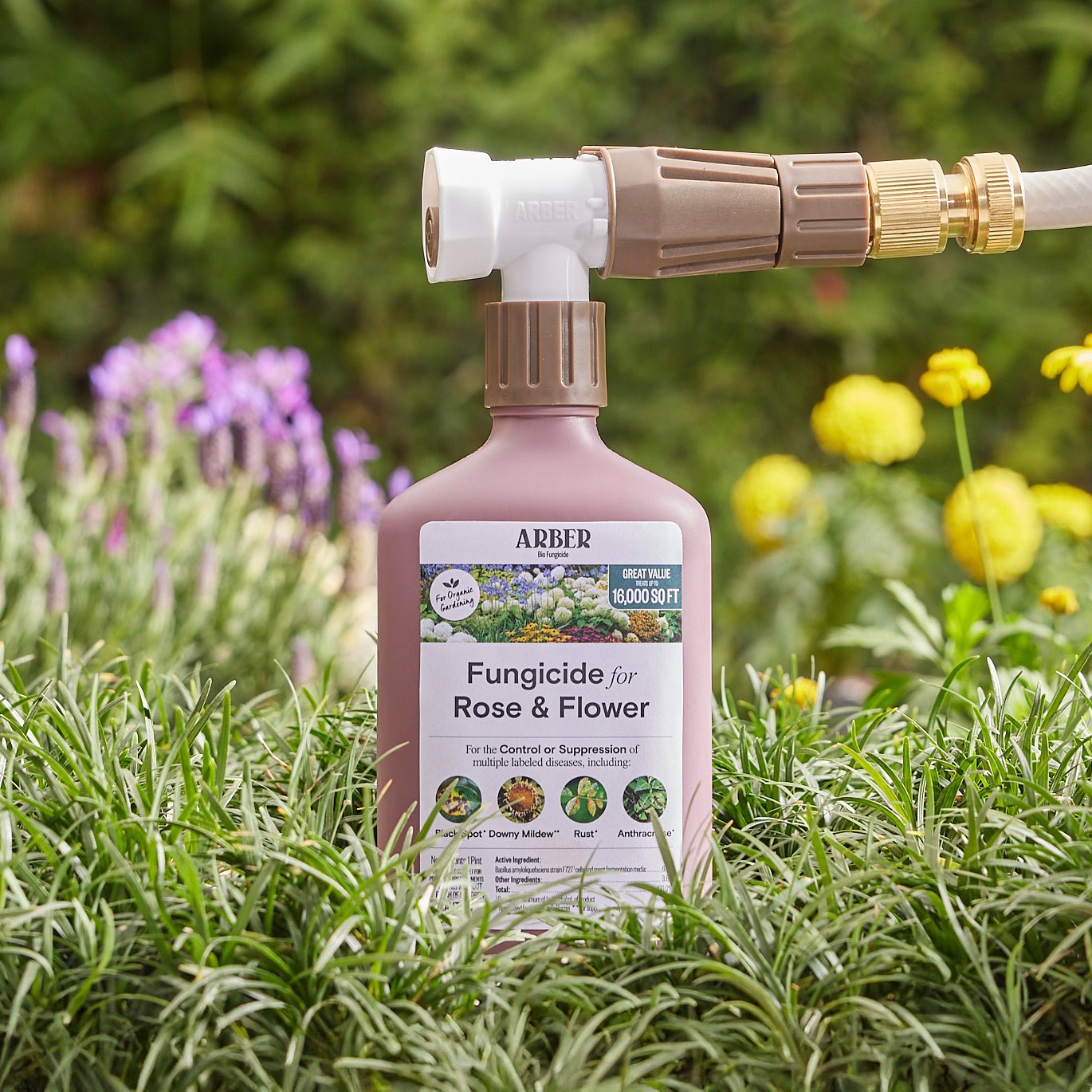 Organic Fungicide for Roses & Flowering Plants – 16 oz Concentrate