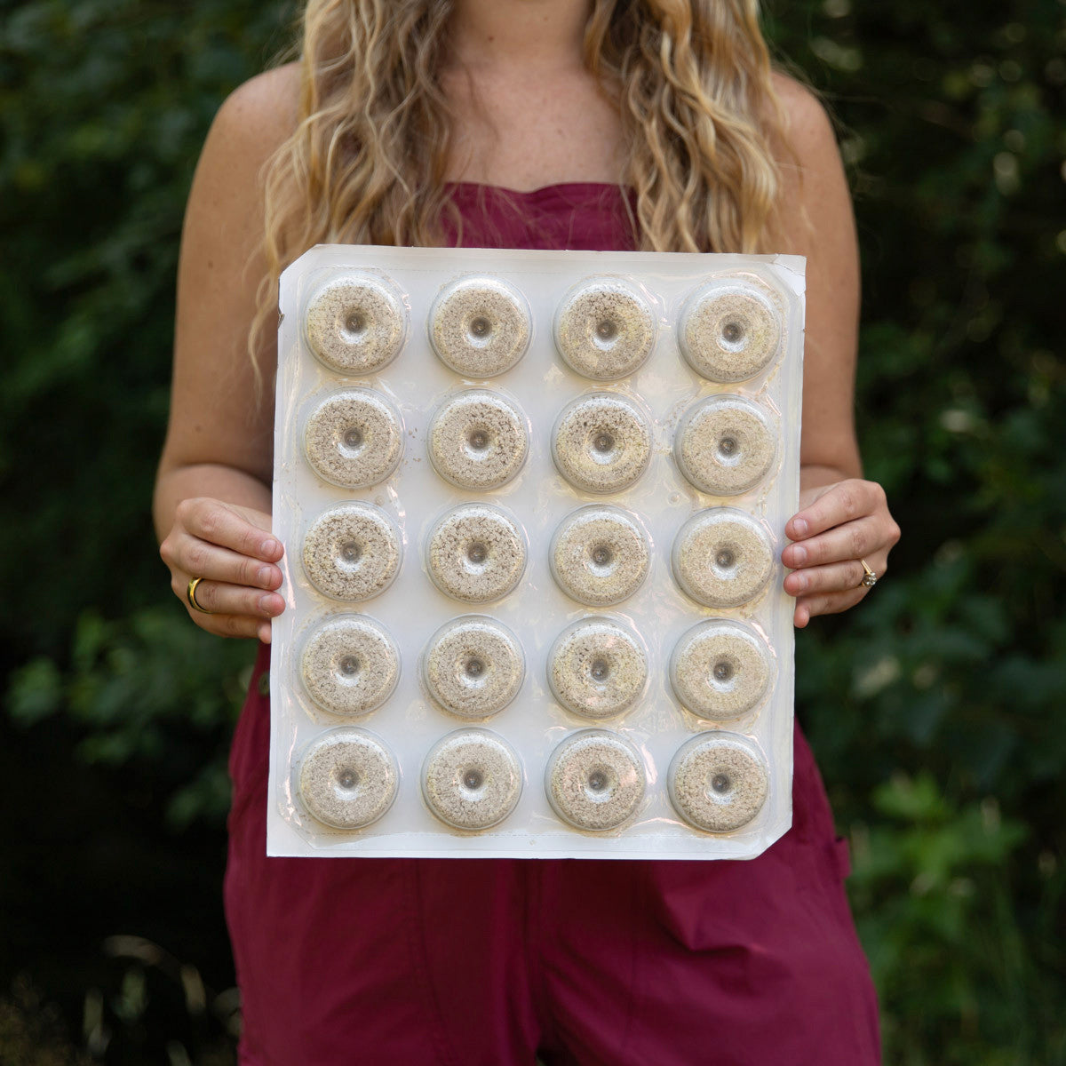 Mosquito Dunks