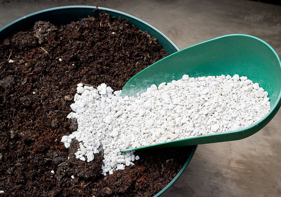 Pumice - 5 Gallons
