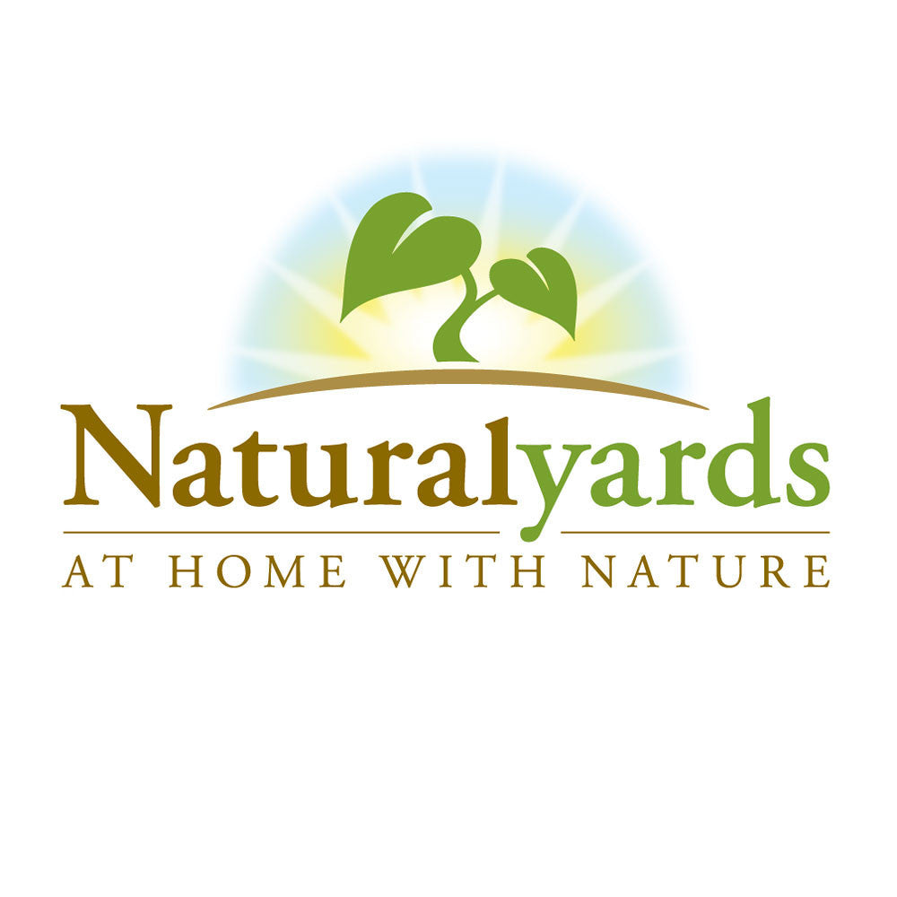 Natural Cedar Planter Boxes