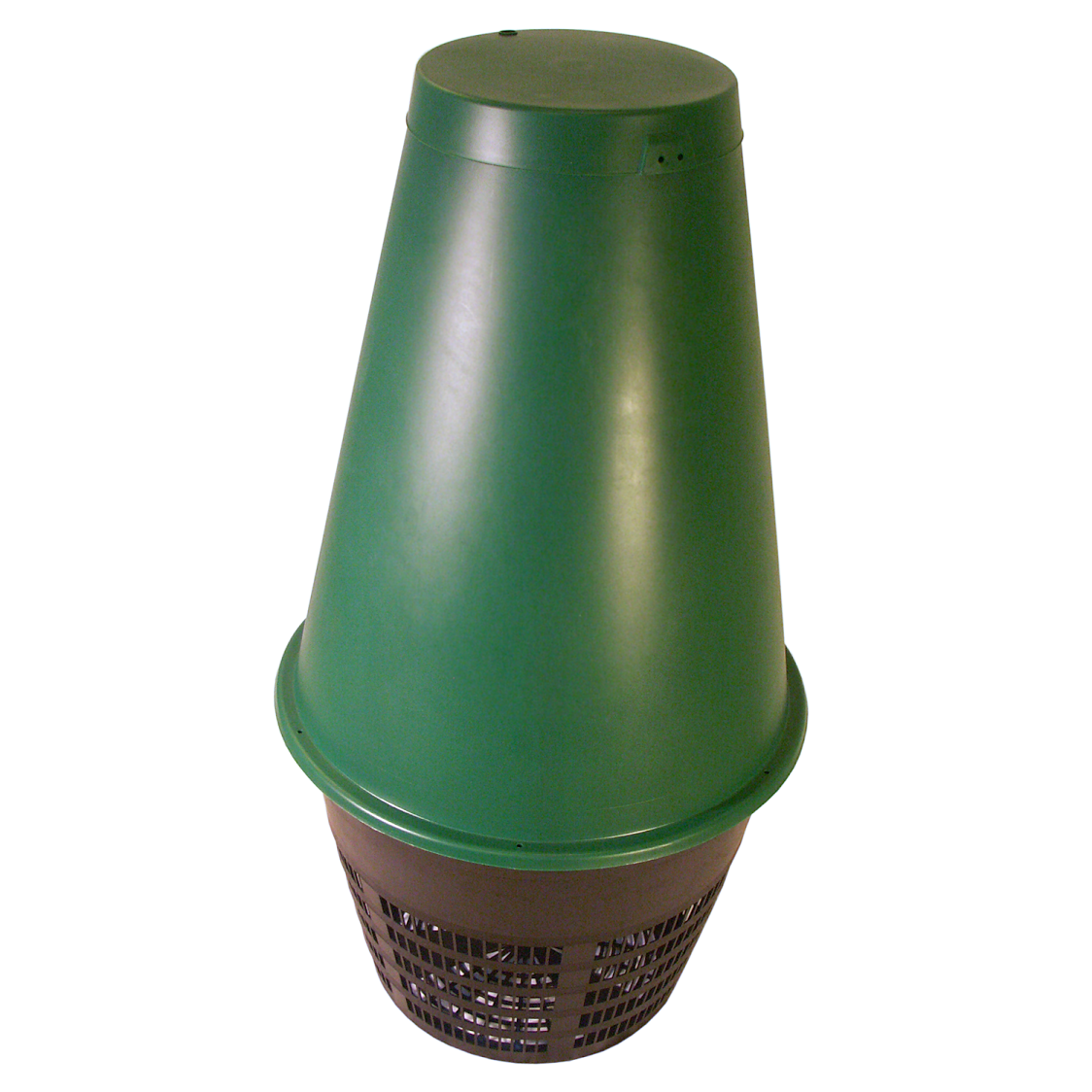 Outer Cone